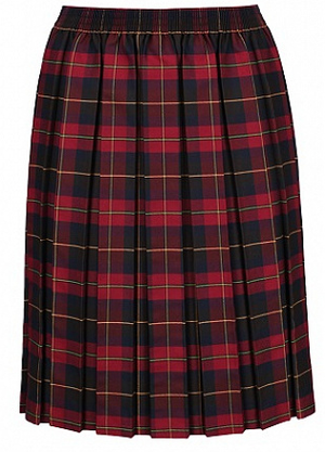 haek check pleated skirt【red】 Buy Burgundy Red Pleated Check Skirt (3-16yrs) from Next USA